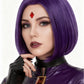 Disfraz Raven